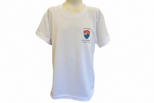 Polera DryFit Patagonia Manga Corta
