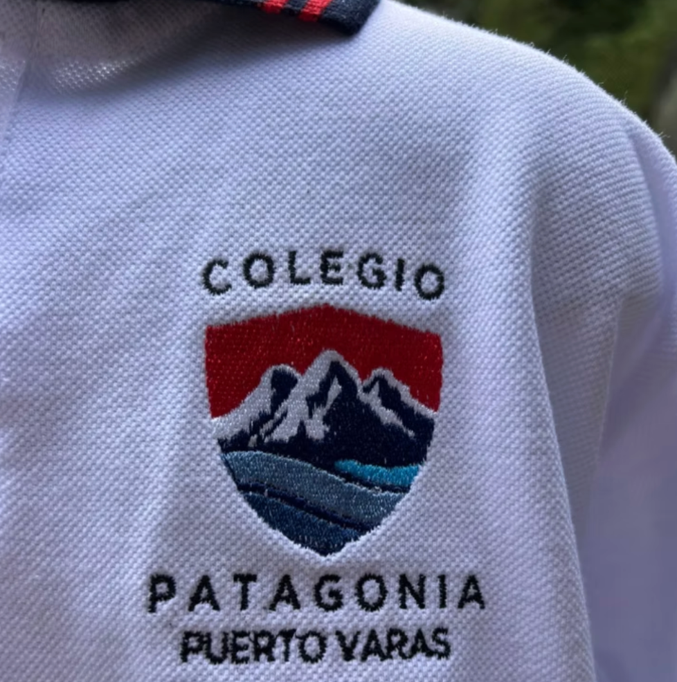 Polera Pique Patagonia Manga Larga