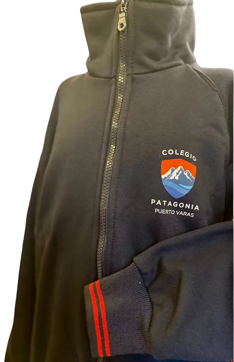 Poleron Buzo Patagonia Lower Franela