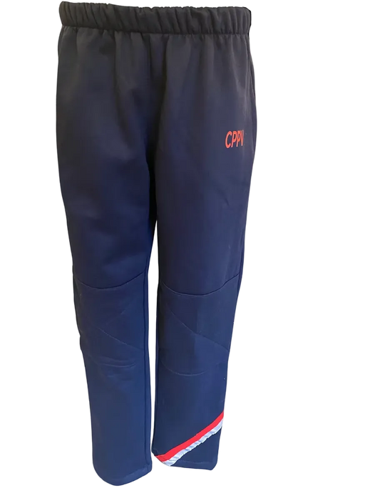 Pantalon Buzo Patagonia Lower Franela