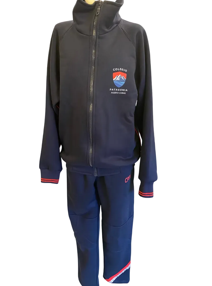 Pantalon Buzo Patagonia Lower Franela