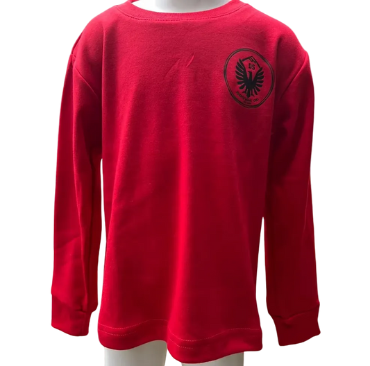 Polera Algodón Aleman Manga Larga